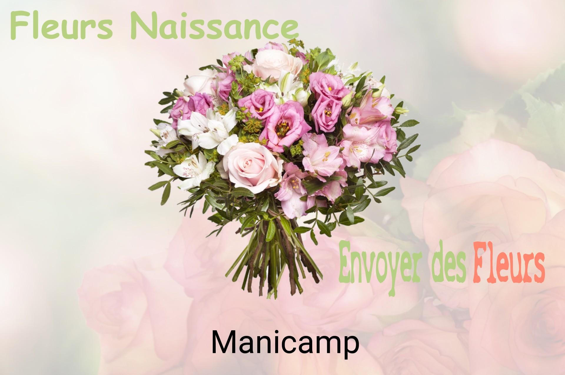 Bouquet de fleurs de naissance livré à Manicamp